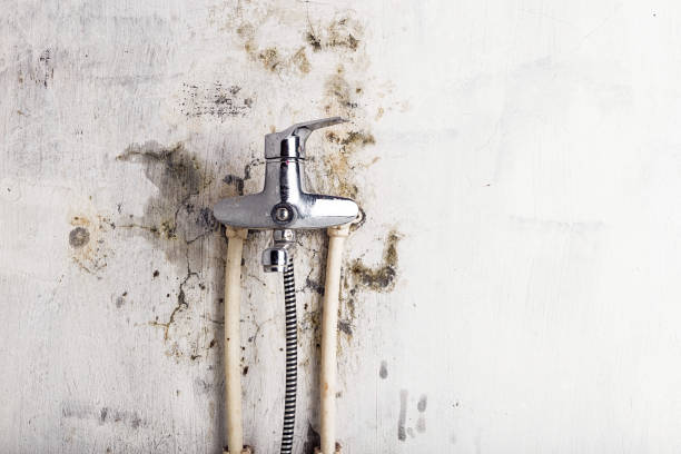 Best Residential Mold Removal  in Sharpsburg, PA