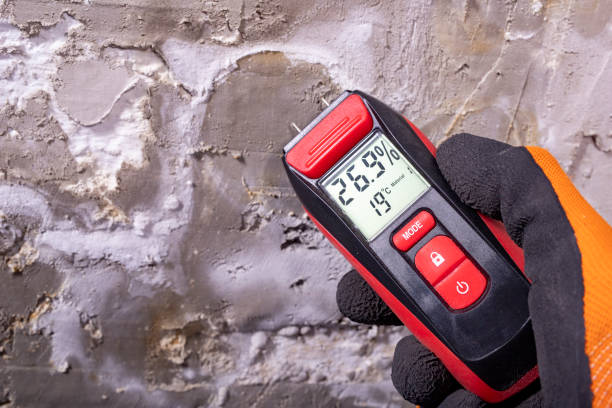 Best Crawl Space Mold Removal  in Sharpsburg, PA