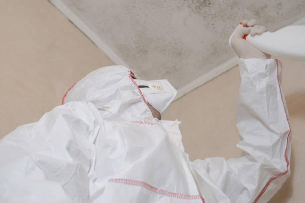 Crawl Space Mold Removal in Sharpsburg, PA