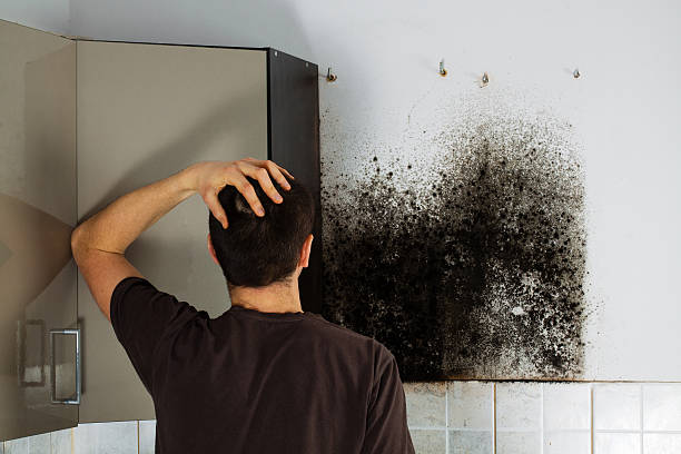 Best Home Mold Removal  in Sharpsburg, PA