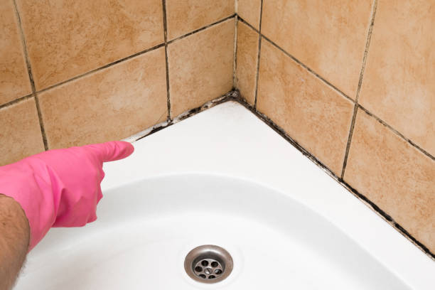 Best Office Mold Removal Services  in Sharpsburg, PA